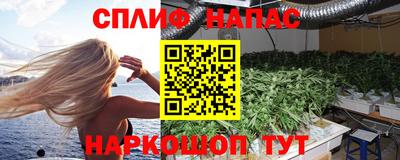 прущие грибы Усть-Джегута