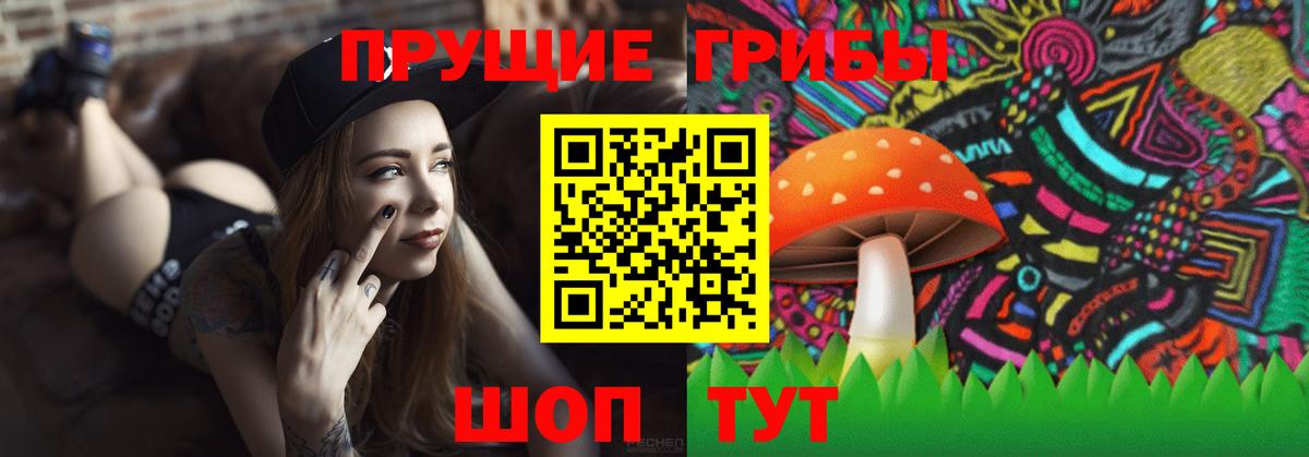 дарнет шоп  Вход с VPN  Псилоцибиновые грибы Psilocybe  Борзя  Галлюциногенные грибы Psilocybine cubensis 